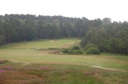 Swinley Forest Golf Club